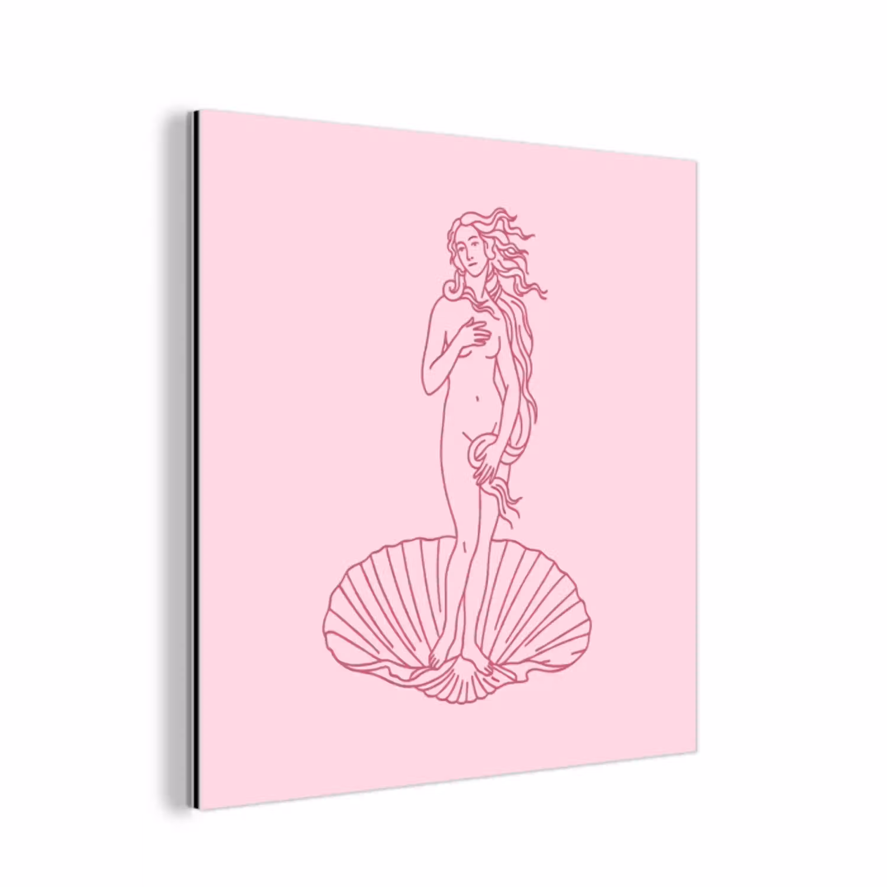 Vrouw - Schelp - Kunst - Lijntekening - Roze aluminium wit klein -3d