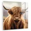 Schotse hooglander - Landschap - Dier plexiglas 5mm klein -zzzproduct_nieuw