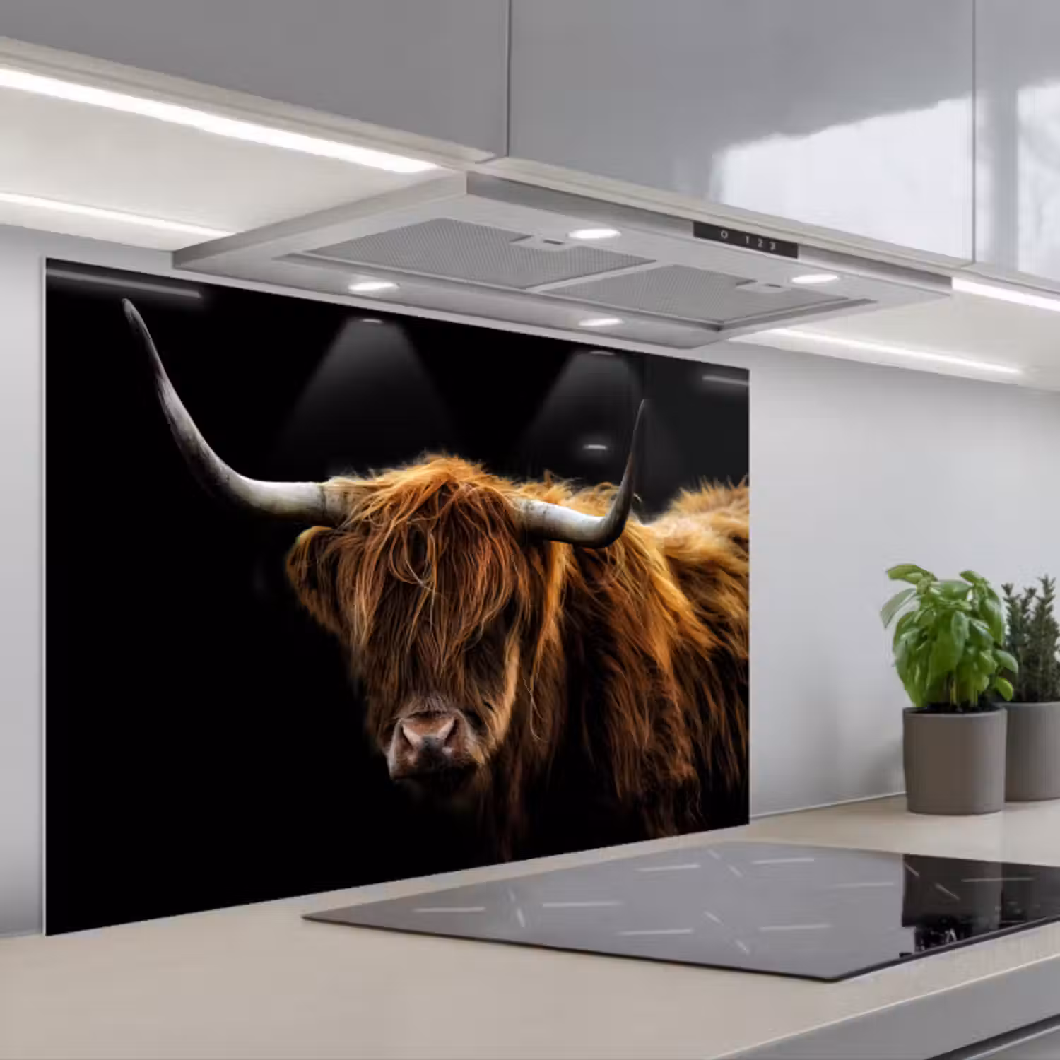 Spatscherm keuken - Schotse Hooglander - Horens - Zwart - Dieren - Natuur - Wild - Koe
