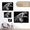 Adelaar - Portret - Roofvogels - Zwart - Wit - Vogel tuinposter los doek klein -Xsfeer9_DE