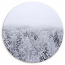 Bos - Sneeuw - Winter - Natuur - Wit Wandcirkel kunststof plaat 5mm dik klein -3d