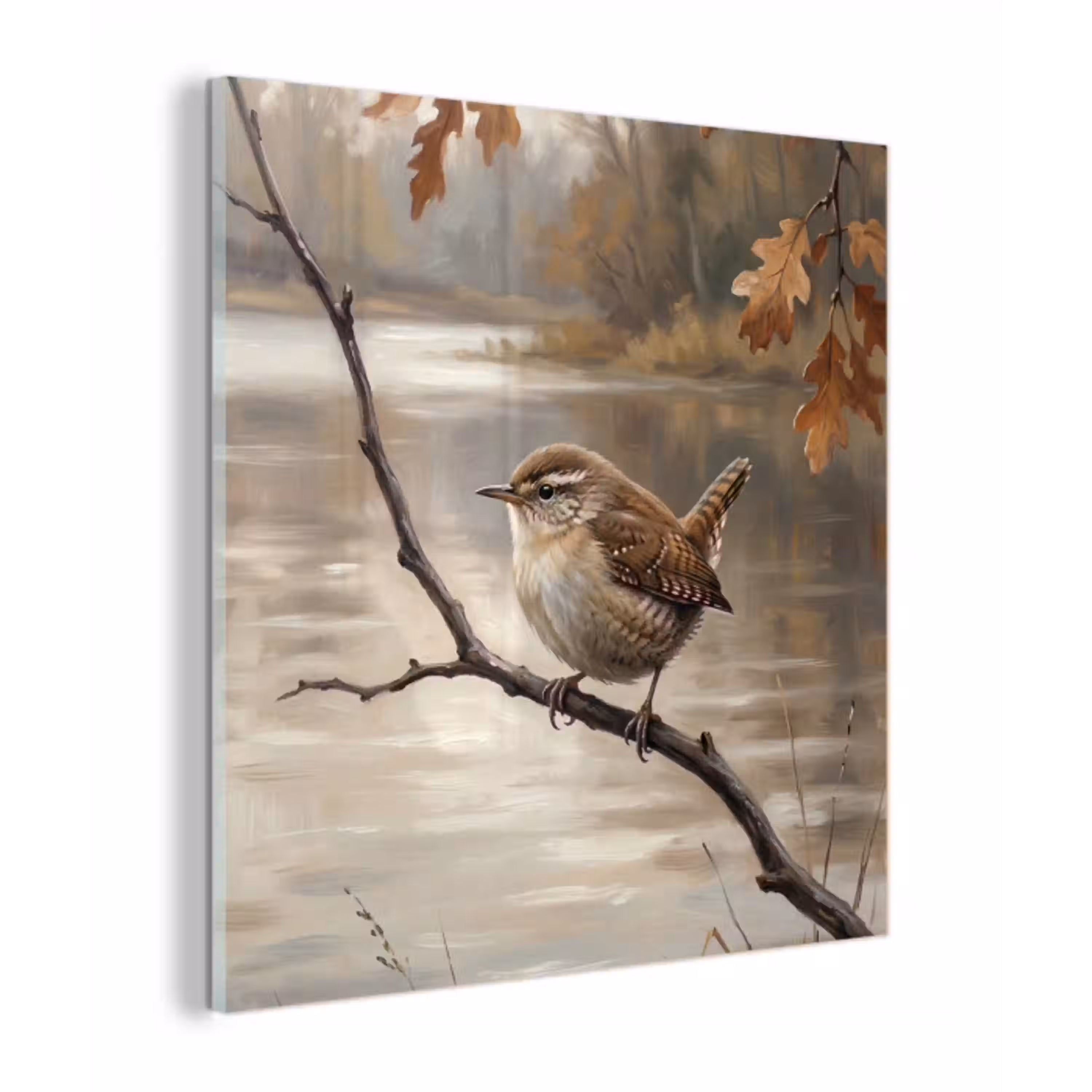 Winterkoninkje - Tak - Rivier - Natuur - Sfeervol plexiglas 5mm klein -z3d