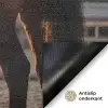 Harmonie - Ruiter - Zon Deurmat klein -antislip_NL