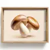 Champignons - Zacht - Beige Dienblad Rechthoek middel -z3d_shopping