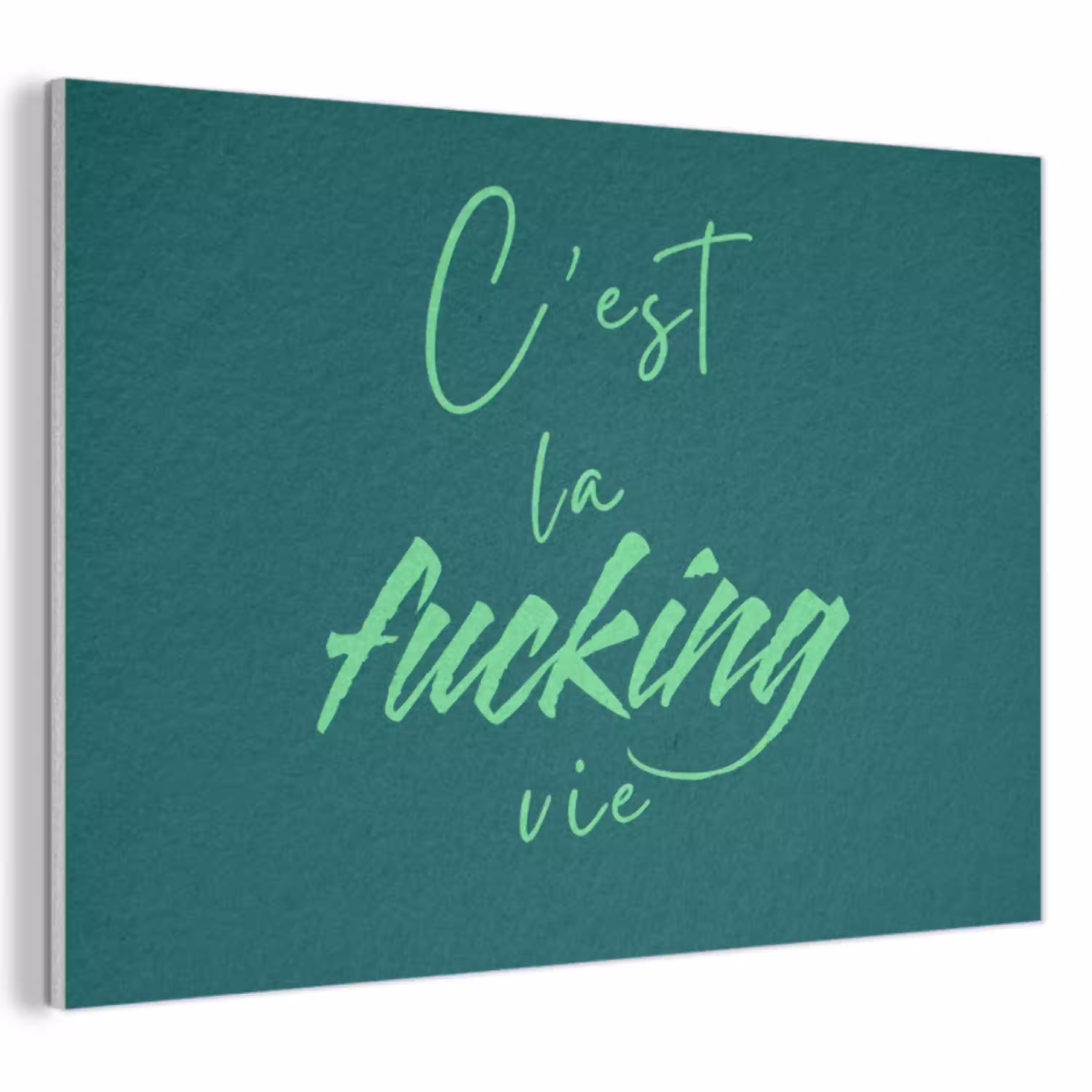 c'est la fucking vie - Groen - Handgeschreven PET vilt klein -3d