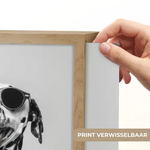 Zonnebril - Dalmatiër - Wijnglas - Tong Light Box met batterij (Wandlamp) middel -USP_websiteprintNL
