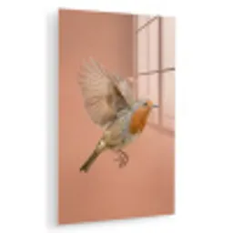 Roodborst - Natuur - Roze plexiglas 5mm klein -zzzproduct_nieuw