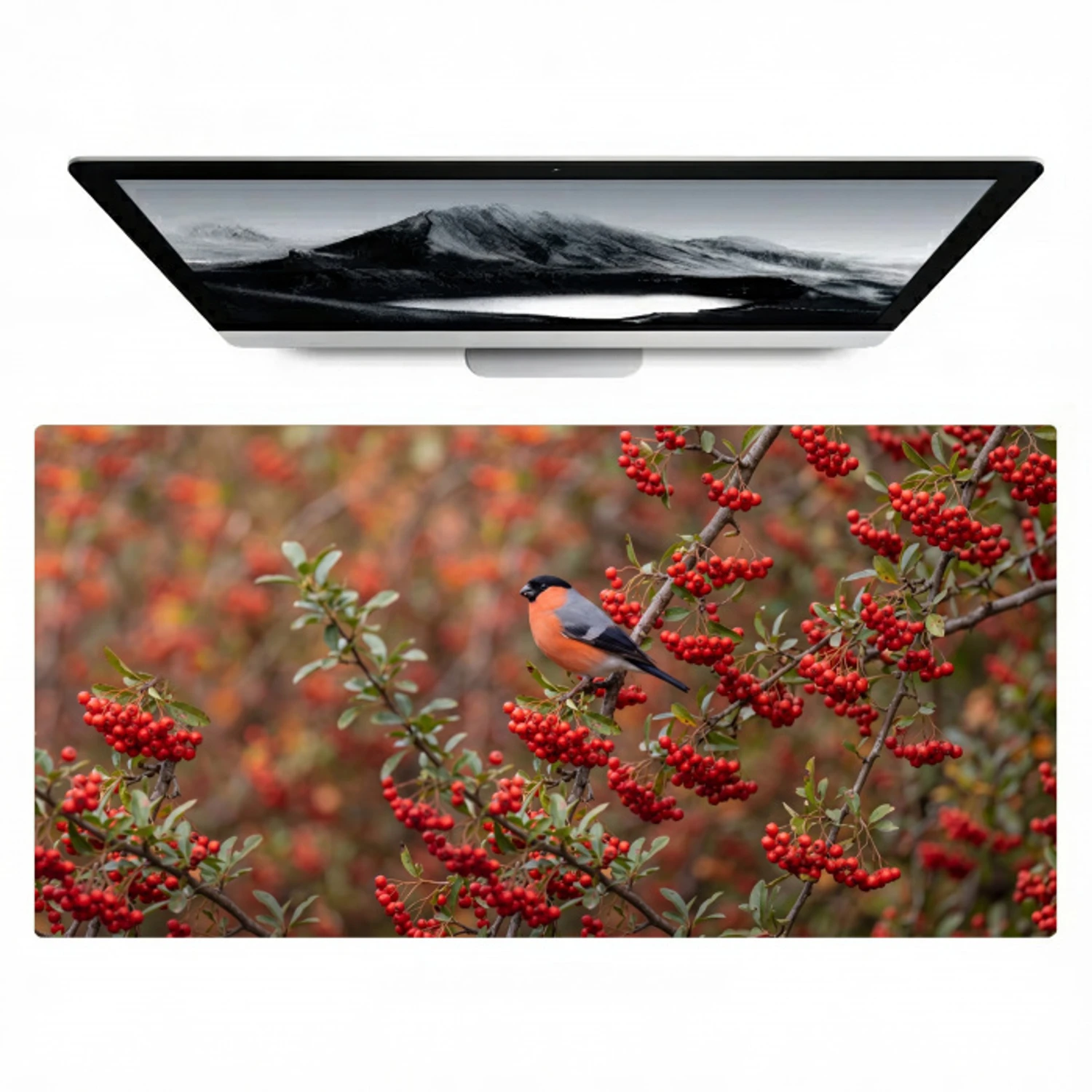 Goudvink - Bessen - Herfst - Natuur - Kleurrijk Muismat XXL klein -zzz3d