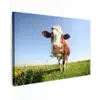 Koe - Dieren - Bloemen - Gras canvas 2cm klein -z3d
