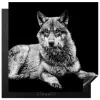 Wilde dieren - Wolf - Zwart - Wit Inductie beschermer vinyl 3mm middel -3d