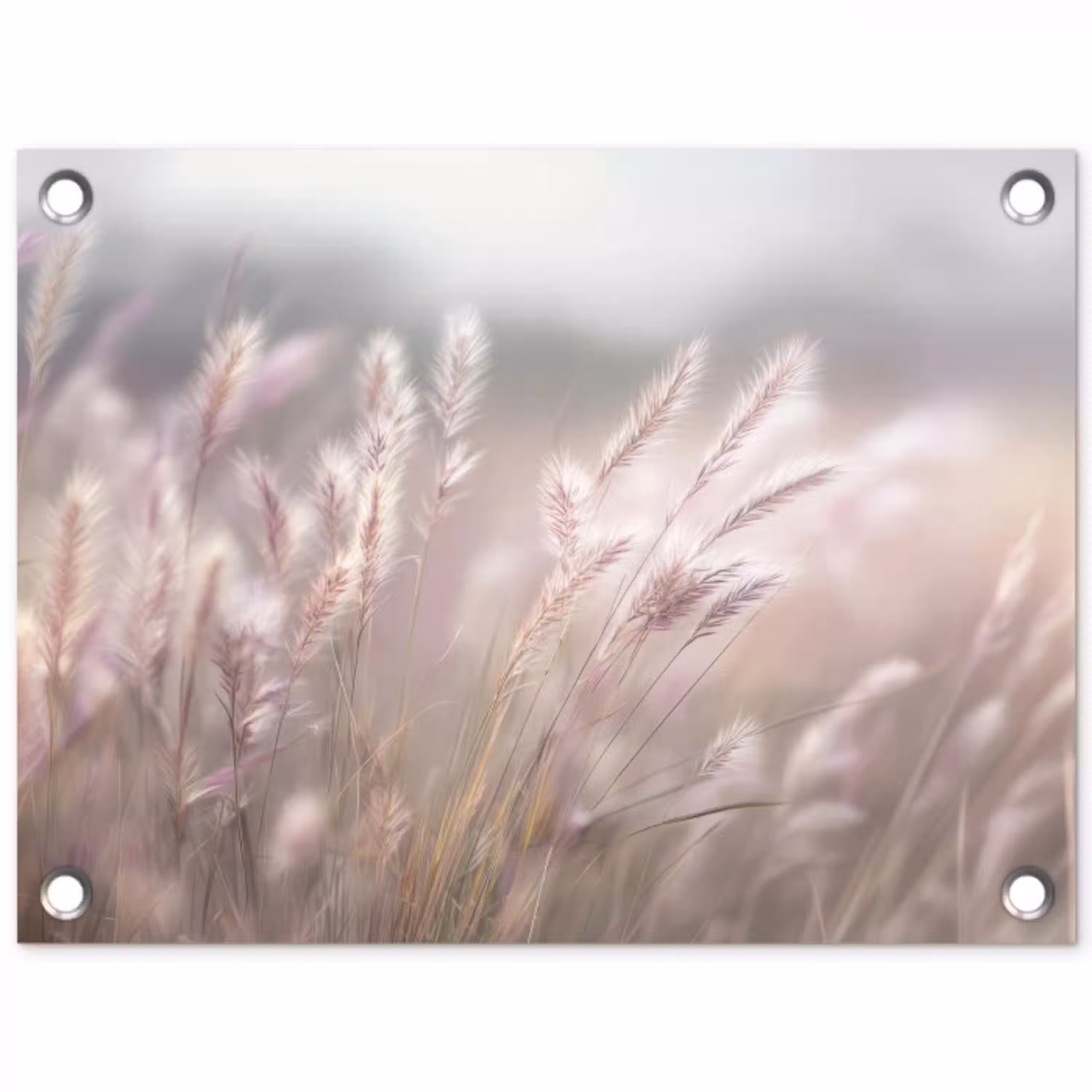 Graspluimen - Wind - Beige - Mistig tuinposter los doek klein -3d