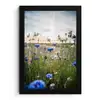 Bloemen - Zomer - Korenbloem - Blauw - Zon - Wolken fotolijst zwart zonder passe partout klein -3d