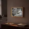 Leeuwen - Dieren - Zwart - Wit - Leeuw Light Box met batterij (Wandlamp) middel -sfeer1