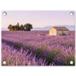 Lavendel - Landschap - Sereen - Paars tuinposter los doek klein -3d
