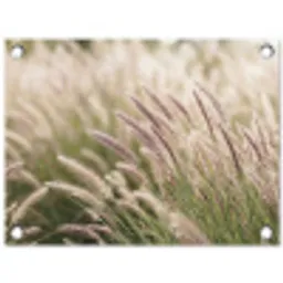 Gras - Close up - Groen tuinposter los doek klein -3d