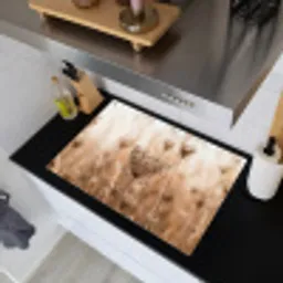 Schermbloem - Droogbloem - Winter - Beige - Minimalistisch Inductie beschemer met haakjes klein -sfeer1