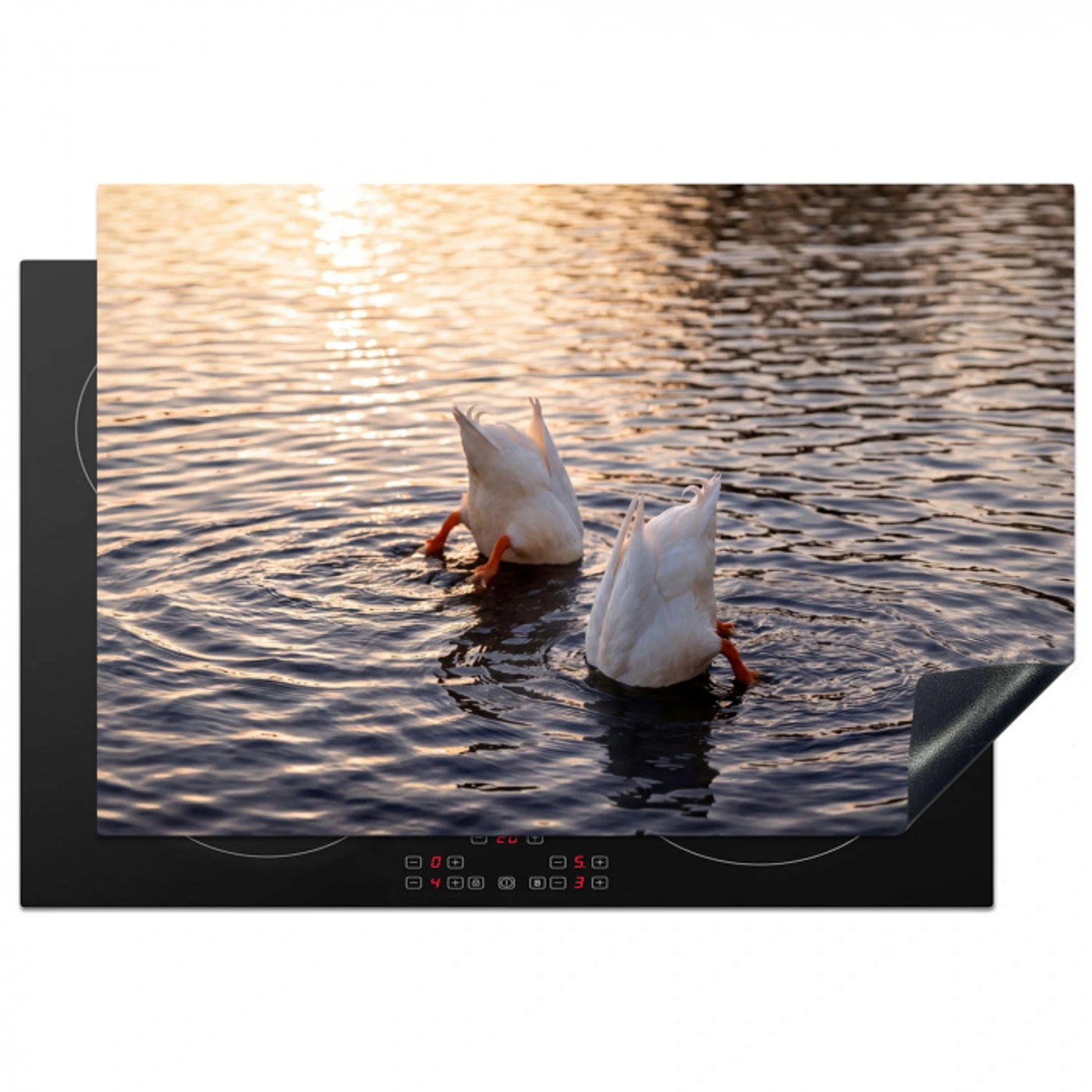 Eenden - Water - Natuur Inductie beschermer vinyl 3mm klein -3d