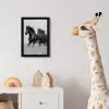 Paarden - Gras - Zwart - Wit fotolijst zwart zonder passe partout klein -usfeer4_kinderkamer