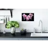 Orchidee - Bloemen - Roze - Flora Muursticker klein -keuken