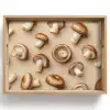 Kastanje Champignons - Beige Dienblad Rechthoek middel -z3d_shopping