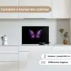 Vlinder - Paars - Levendig keuken achterwand spatscherm klein -sfeer4_FR