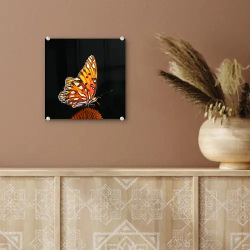 Vlinder - Bloemen - Insect - Portret - Zwart - Oranje plexiglas 5mm klein -sfeer5