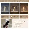 Kat - Geschilderd - Artistiek - Wit Light Box met batterij (Wandlamp) middel -USP_lichtkleurNL
