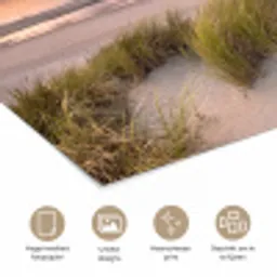 Zonsondergang - Duin - Strand - Planten - Zee poster papier klein -closeup_NL