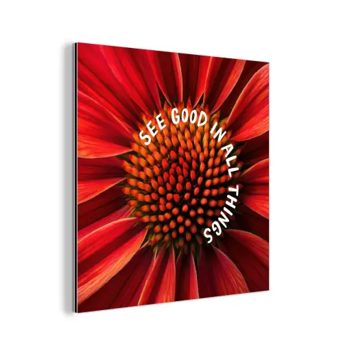 Close up - Bloem - Quote - Rood aluminium wit klein -3d
