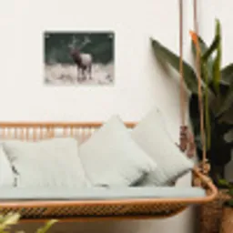 Edelhert - Gewei - Schildering - Rustiek tuinposter los doek klein -sfeer7