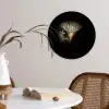 Vogel - Adelaar - Roofvogels - Oog - Snavel - Licht Wandcirkel kunststof plaat 5mm dik klein -sfeer4
