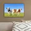 Koeien - Boerderij - Gras- Natuur - Dieren canvas 2cm klein -sfeer3