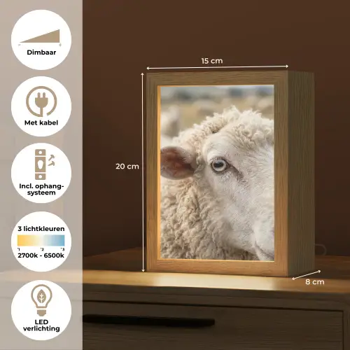 Schaap - Oog - Wit Light Box met kabel (Tafellamp) klein -USP_NL