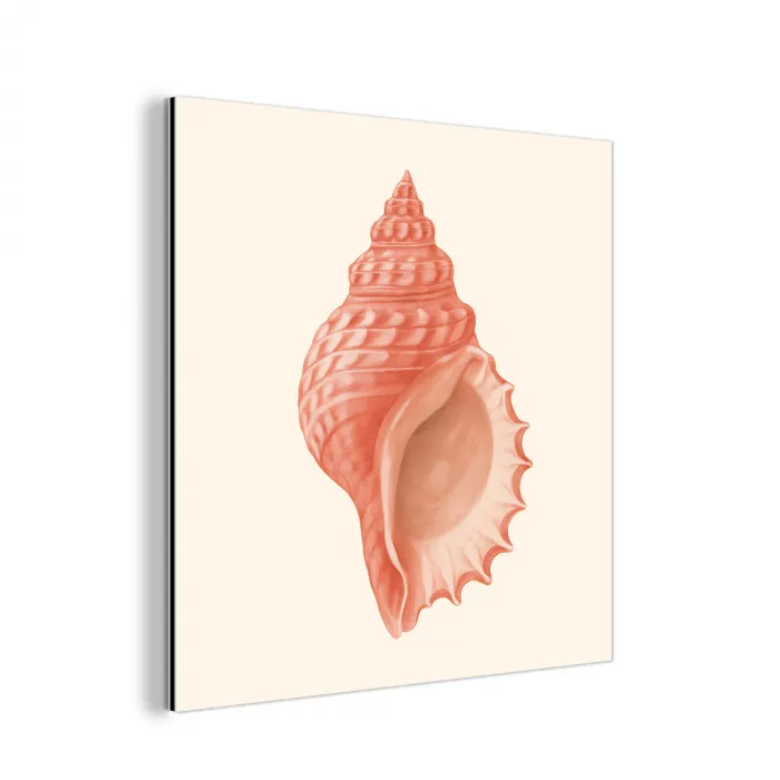 Schelp - Roze - Structuur aluminium wit klein -3d