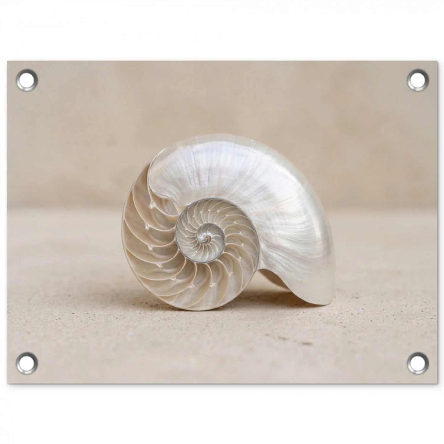 Schelp - Spiraal - Beige tuinposter los doek klein -3d