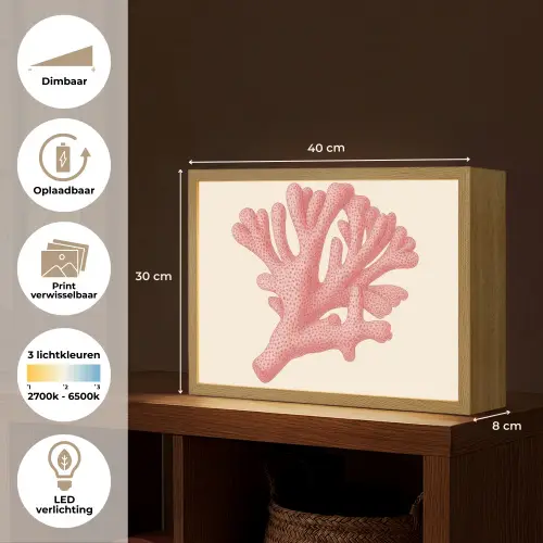 Koraal - Stipjes - Roze Light Box met batterij (Wandlamp) middel -USP_websiteoverzichtNL