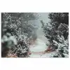Bos - Winter - Bomen - Natuur - Pad - Sneeuw poster papier klein -3d