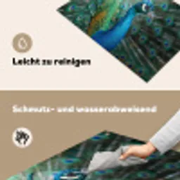 Pauw - Veren - Blauw Inductie beschemer met haakjes klein -ky-schoon-de