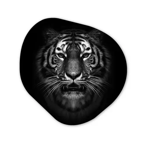 Tijger - Dieren - Zwart - Wit - Portret - Wild Wandcirkel Organisch Forex 3mm klein -3d