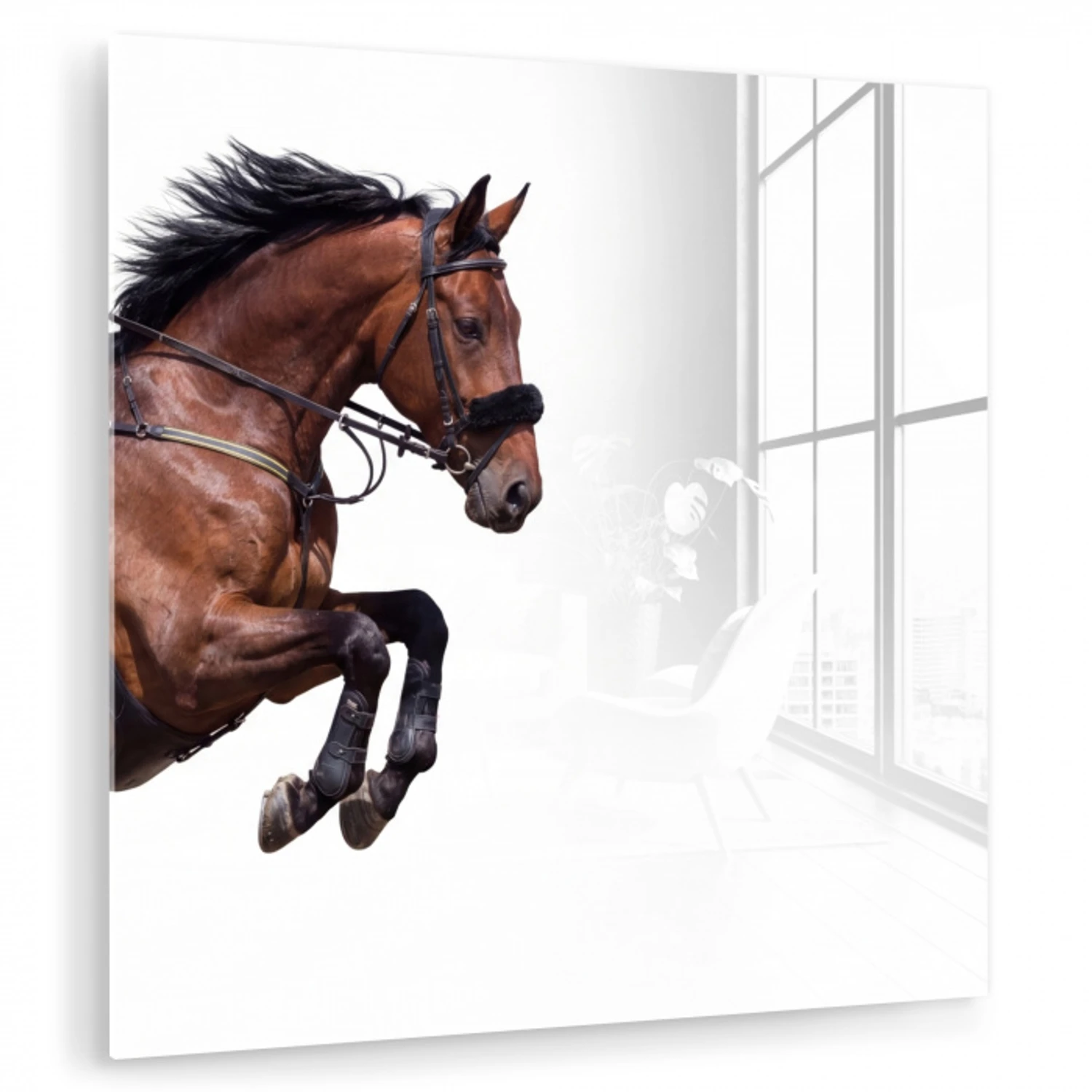 Paard - Springen - Modern plexiglas 5mm klein -zzzproduct_nieuw