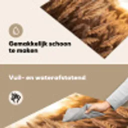 Rietpluimen - Gras - Zonsondergang - Goud - Serene Inductie beschemer met haakjes klein -ky-schoon-nl