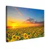 Bloemen - Zonnebloem - Zonsondergang - Nacht - Oranje canvas 2cm klein -z3d