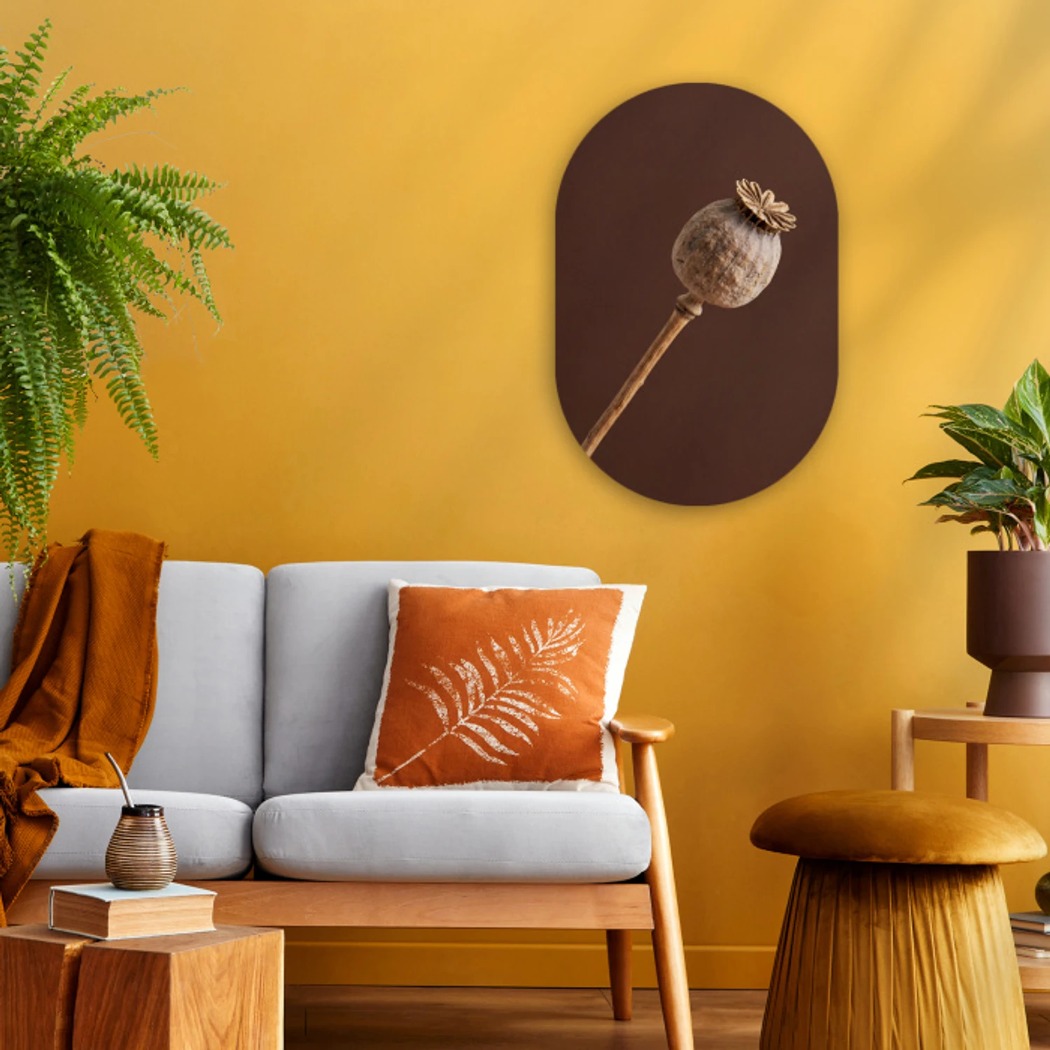 Papaverbol - Droogbloem - Bruin - Minimalistisch Wandcirkel Ovaal Forex klein -sfeer4