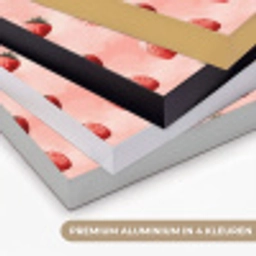 Aardbei - Patroon - Roze Textielframe zwart klein 947 -USP_kleurenNL