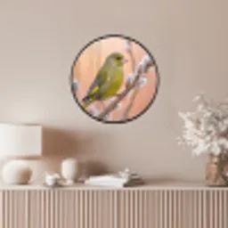 Groenling - Katjes - Lente - Natuur - Zacht Fotolijst rond zonder passe partout klein -sfeer3