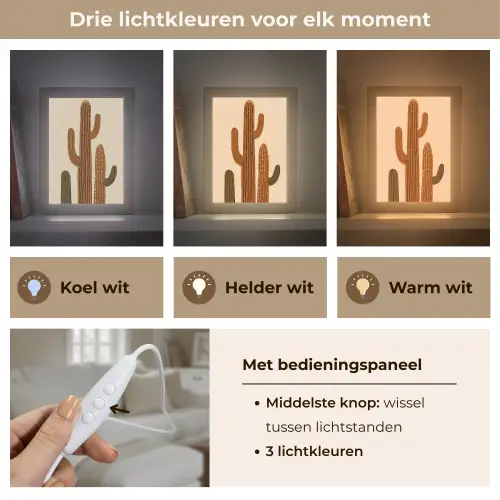 Cactus - Woestijn - Zand - Bruin Light Box met kabel (Tafellamp) klein -USP_lichtkleurNL