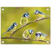 Vijf Koolmezen op een Tak tuinposter los doek klein -3d