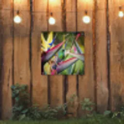 Kleurrijke vogel tussen allemaal kleurrijke platen tuinposter los doek klein -sfeer1