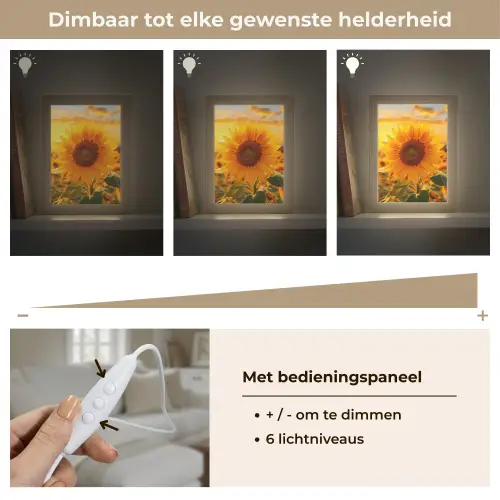 Zonnebloem - Bloemen - Geel - Bloemenveld met zonnebloemen Light Box met kabel (Tafellamp) klein -USP_dimbaarNL