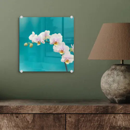 Orchidee - Bloemen - Plant - Wit - Paars plexiglas 5mm klein -sfeer3